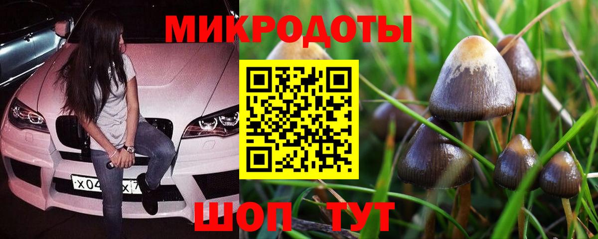 Ишим  Псилоцибиновые грибы ЛСД  Вход с VPN 