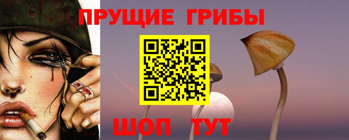 Галлюциногенные грибы GOLDEN TEACHER Ишим
